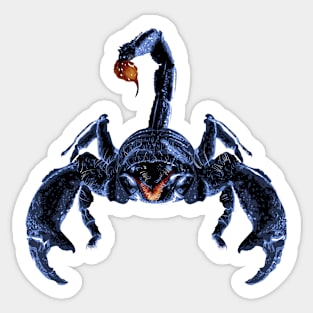 Scorpio Sticker